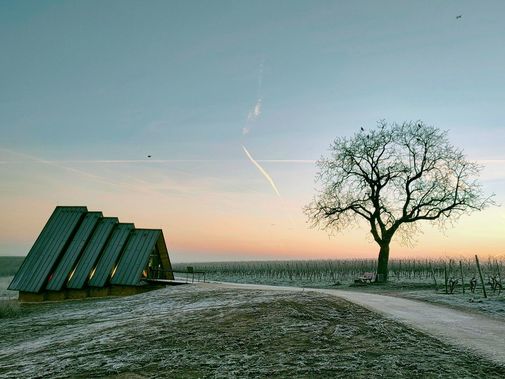 Chapel in the vineyards